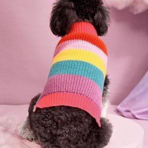 Dog colorblock sweater